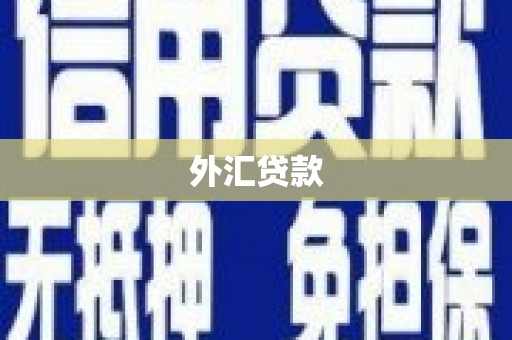 保税区外汇贷款