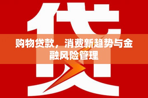洛扎购物贷款，消费新趋势与金融风险管理
