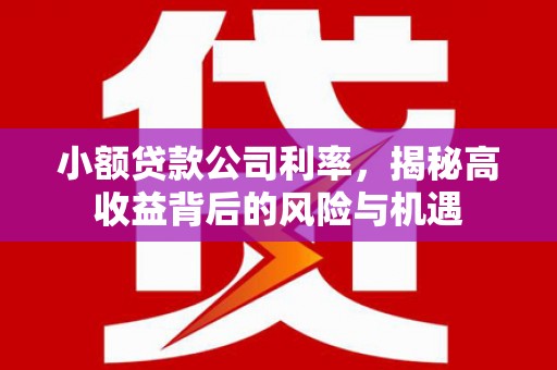麦寮小额贷款公司利率，揭秘高收益背后的风险与机遇