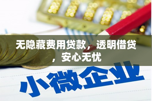 乡城无隐藏费用贷款，透明借贷，安心无忧