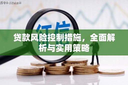 中坜贷款风险控制措施，全面解析与实用策略