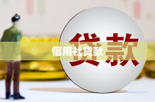 错那信用社贷款