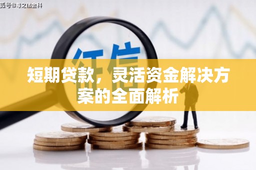 竹崎短期贷款，灵活资金解决方案的全面解析