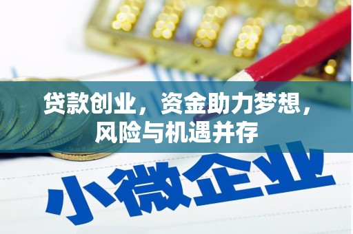 温宿贷款创业，资金助力梦想，风险与机遇并存