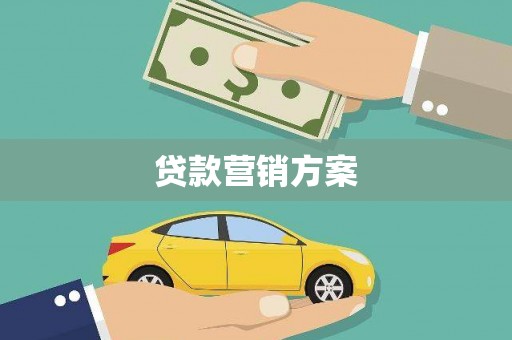 庄浪贷款营销方案