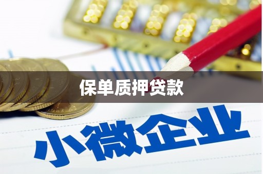 南充保单质押贷款