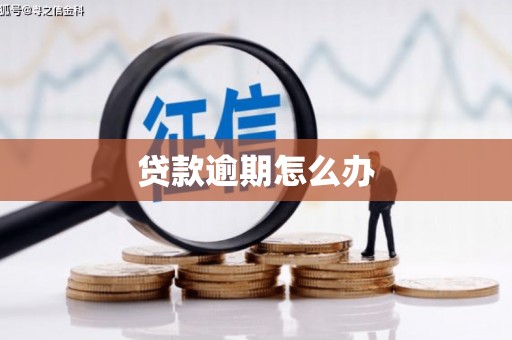 蓬江贷款逾期怎么办