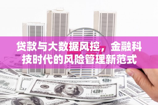 树林贷款与大数据风控，金融科技时代的风险管理新范式