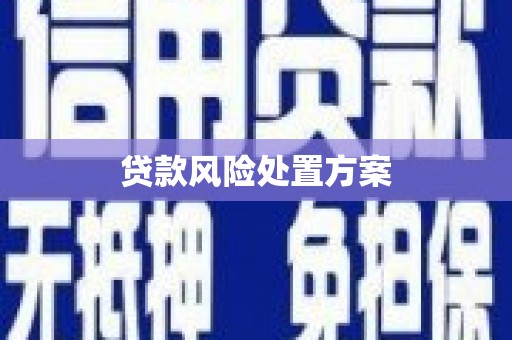 佳木斯贷款风险处置方案