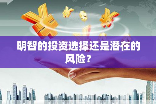 花山明智的投资选择还是潜在的风险？