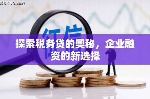 西螺探索税务贷的奥秘，企业融资的新选择