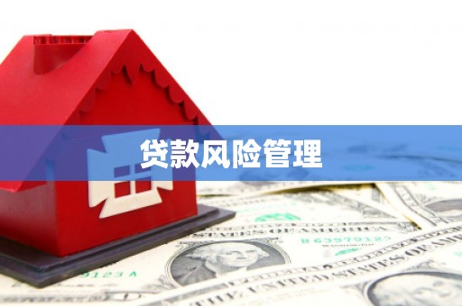 乐亭贷款风险管理