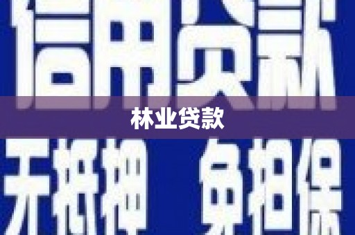 大洼林业贷款