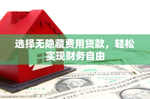 公安选择无隐藏费用贷款，轻松实现财务自由