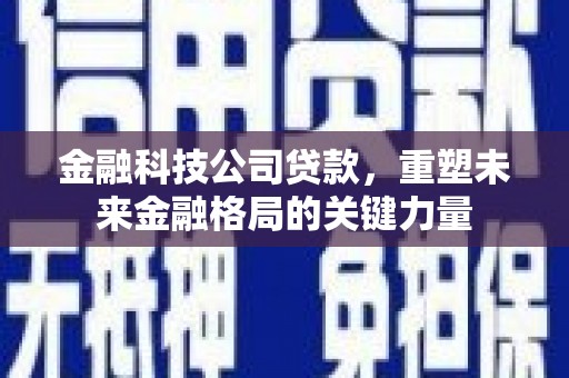 新华金融科技公司贷款，重塑未来金融格局的关键力量