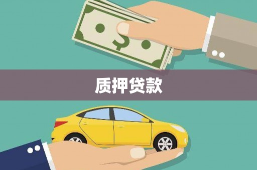广水质押贷款