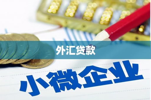 海南外汇贷款