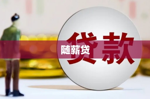 囊谦随薪贷