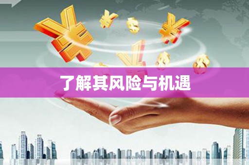 南阳了解其风险与机遇