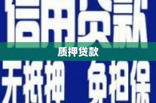 江南质押贷款