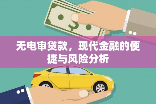 镇原无电审贷款，现代金融的便捷与风险分析