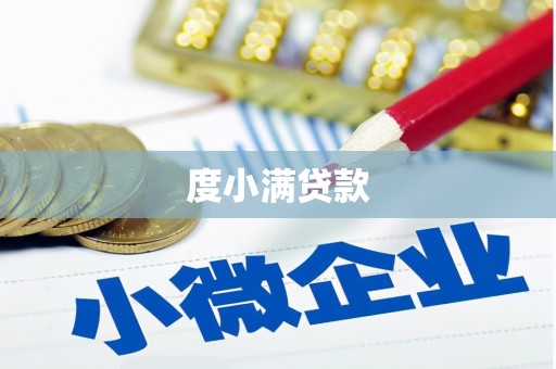 阜沙度小满贷款