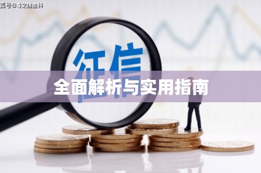 杜集全面解析与实用指南