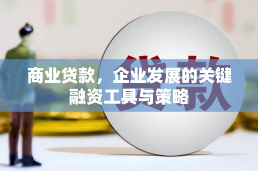 莲都商业贷款，企业发展的关键融资工具与策略