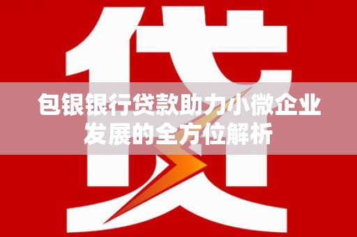 大名包银银行贷款助力小微企业发展的全方位解析