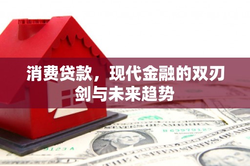盐津消费贷款，现代金融的双刃剑与未来趋势