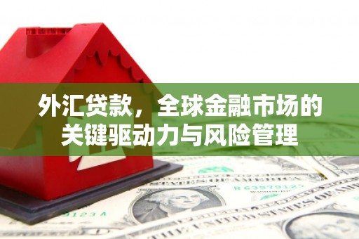 馆陶外汇贷款，全球金融市场的关键驱动力与风险管理