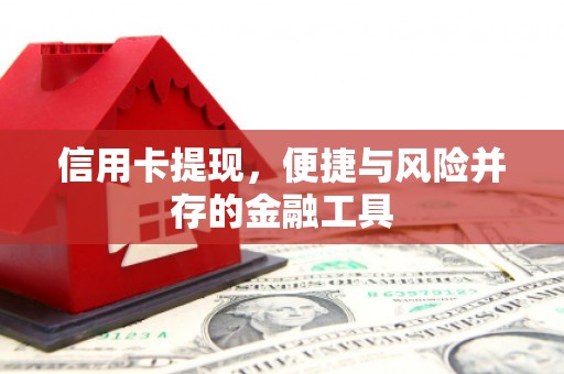 永寿信用卡提现，便捷与风险并存的金融工具
