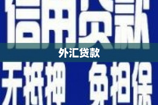 龙岗外汇贷款