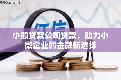 齐齐哈尔小额贷款公司贷款，助力小微企业的金融新选择