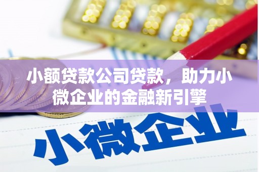 临泉小额贷款公司贷款，助力小微企业的金融新引擎
