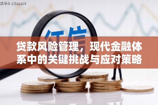 晋州贷款风险管理，现代金融体系中的关键挑战与应对策略