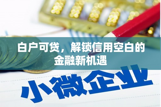 宜黄白户可贷，解锁信用空白的金融新机遇