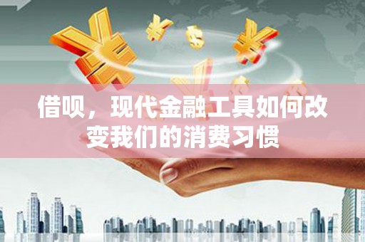 富源借呗，现代金融工具如何改变我们的消费习惯