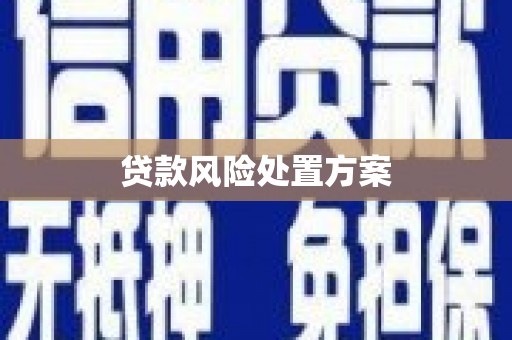 斗门贷款风险处置方案