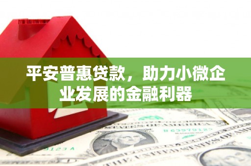 延吉平安普惠贷款，助力小微企业发展的金融利器