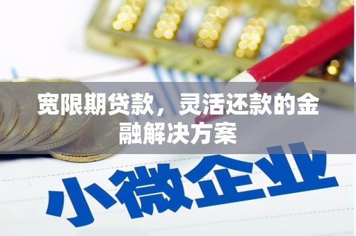 苑里宽限期贷款，灵活还款的金融解决方案
