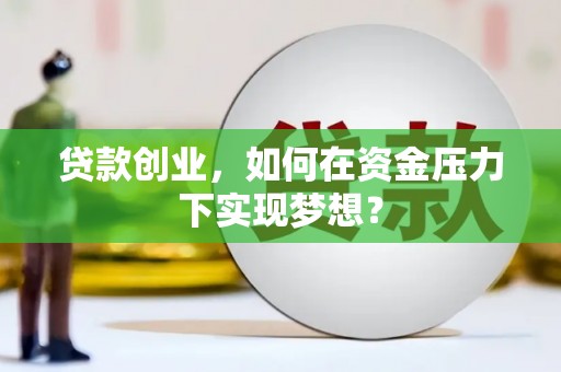林芝贷款创业，如何在资金压力下实现梦想？