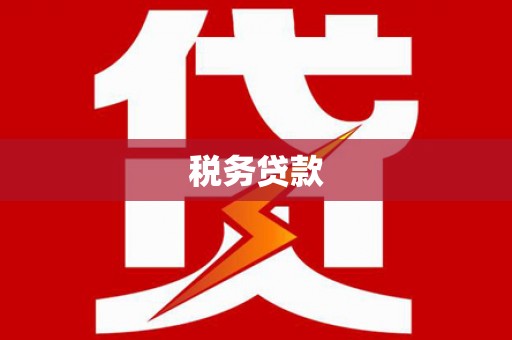 济源税务贷款