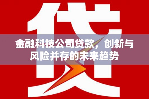 营口金融科技公司贷款，创新与风险并存的未来趋势