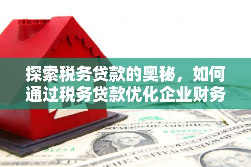 徐州探索税务贷款的奥秘，如何通过税务贷款优化企业财务