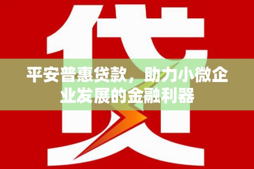 中原平安普惠贷款，助力小微企业发展的金融利器