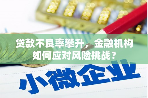 沈河贷款不良率攀升，金融机构如何应对风险挑战？