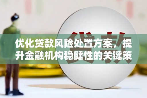 文水优化贷款风险处置方案，提升金融机构稳健性的关键策略