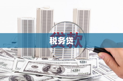 泰州税务贷