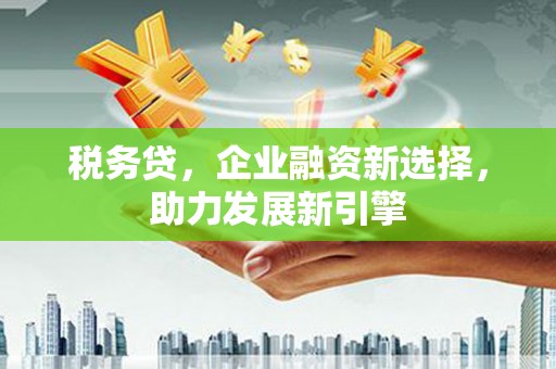 长垣税务贷，企业融资新选择，助力发展新引擎